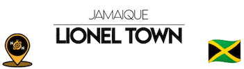 Town Nn Sticker by NoirNomads