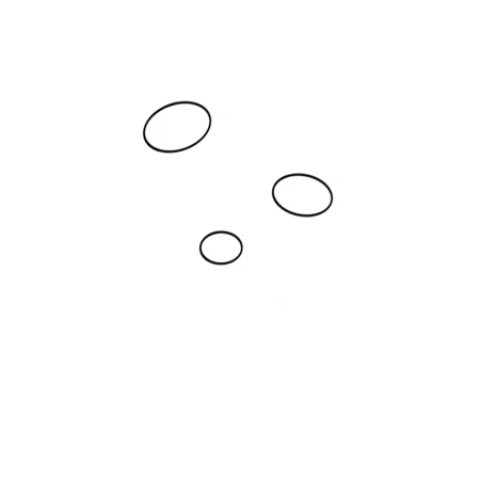 Aristovskaya giphygifmaker art aristovskaya chamomile GIF