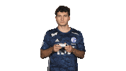 Schalke 04 Vbl Sticker by Bundesliga