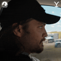 Angry Paramount Network GIF by Yellowstone