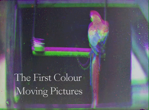 film vintage GIF by Photojojo