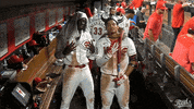Baseball Mlb GIF by Cincinnati Reds