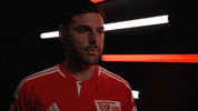 Germany Smile GIF by Bundesliga