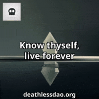 Humor Know GIF by deathlessdao