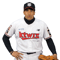 Baseball Sticker by kt wiz