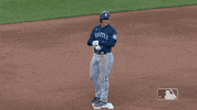 Major League Baseball Sport GIF by MLB