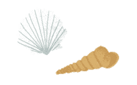 Shell Sticker