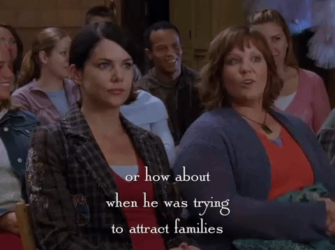 season 6 netflix GIF by Gilmore Girls 