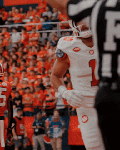 College Football GIF by Clemson Tigers