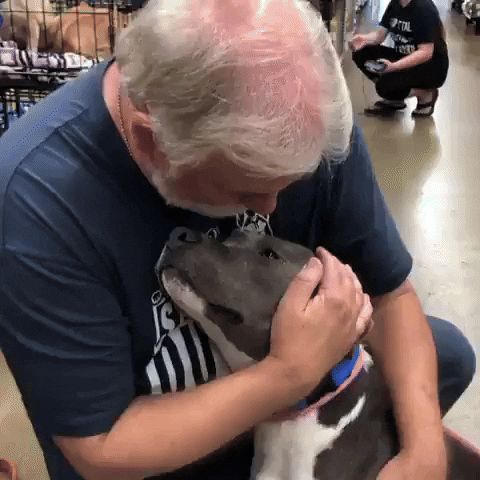 cuteanimalland giphyupload GIF