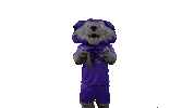 Cats Paws Sticker by Western Carolina University