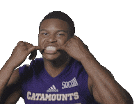 western_carolina football college football wcu catamounts Sticker