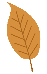 Autumn Leaves Fall Sticker by AnneliADesign