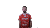 Handball Vtb Sticker by SG VTB/Altjührden