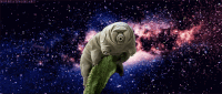 GIF by Canek