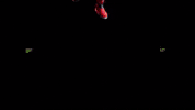 Bozoverse fun dancing digital abstract GIF