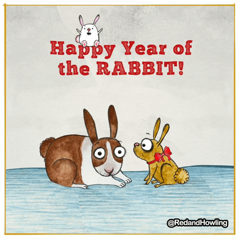 Happy New Year Rabbit GIF by Red and Howling
