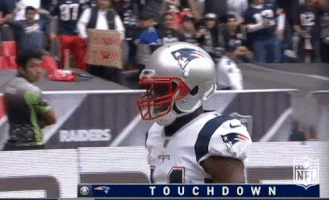 New England Patriots Football GIF by NFL