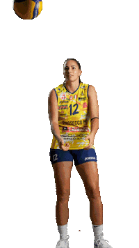 Pericati Sticker by ImocoVolley
