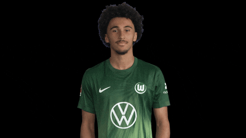 France No GIF by VfL Wolfsburg
