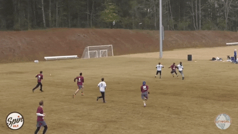 flikulti ultimate frisbee flik GIF