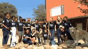excited dance GIF by Earth Hour
