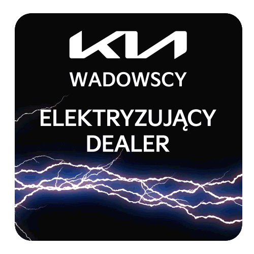 KiaWadowscy giphyupload car kia dealer Sticker