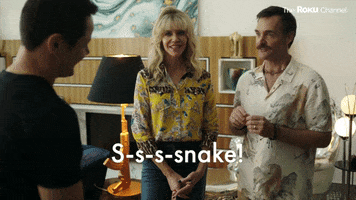 Will Forte GIF by The Roku Channel