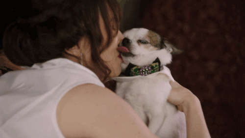 Dog Kissing GIF by Another Period