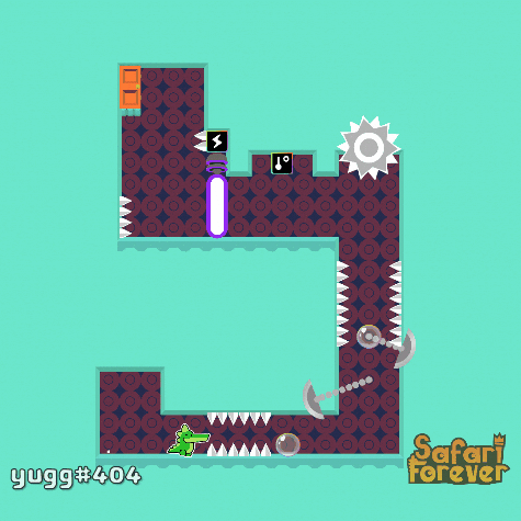 SafariForever safari forever safariforever GIF