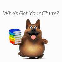 JumpConsulting dog walk dog walking pet business jump consulting GIF