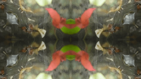 Art Love GIF by jorgemariozuleta
