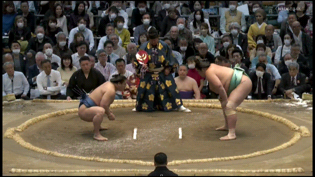 TZ85 giphyupload sumo kotonowaka wakatakakage GIF