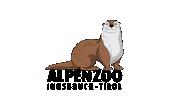 Alpenzoo otter alpenzoo alpentiere alpenzooinnsbruck Sticker