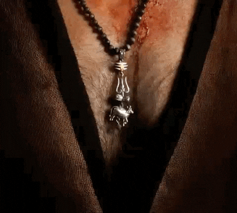 Mahesh Babu Superstar GIF