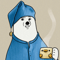 What The Hell Wtf GIF