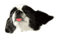 bueroost buero ost bueroost uuuwwweee Sticker