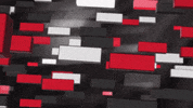 Suzie GIF by La Voix TVA