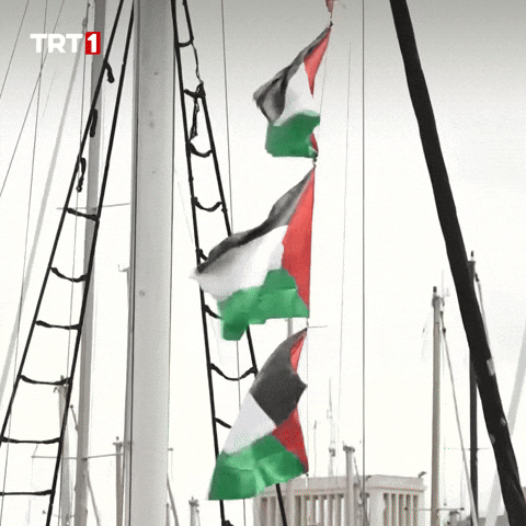 Flag Help GIF by TRT