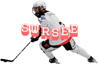 Sursee Womenshockey Sticker by Stalder's Sportsbar