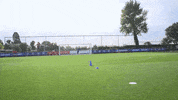 Three Lions Football GIF by England