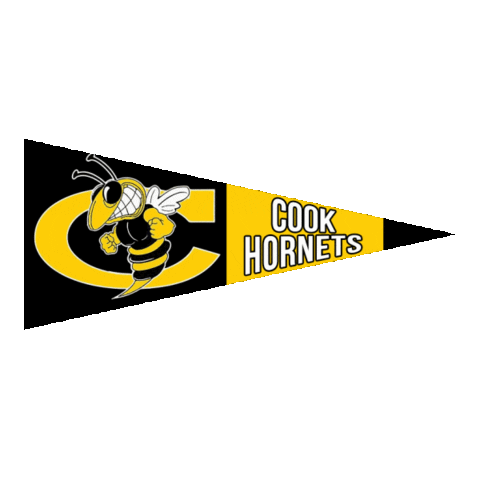 Football Hornets Sticker by GPB Sports