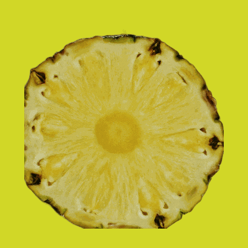 Summer Comida GIF