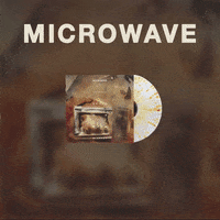 GIF by Pure Noise Records