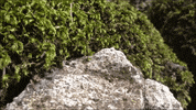 Art Video GIF by jorgemariozuleta