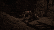 Stalker GIF by GSC Game World