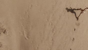 mute records everything GIF by Goldfrapp