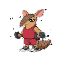 Sport Fitness Sticker by Chillo Dillo