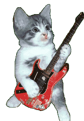 Sticker gif. Little gray kitten playing electric guitar.
