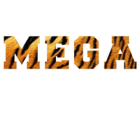 educaÃ§Ã£o Sticker by Tigrinhos e Golden Tigers